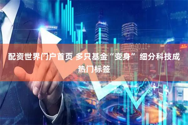 配资世界门户首页 多只基金“变身” 细分科技成热门标签