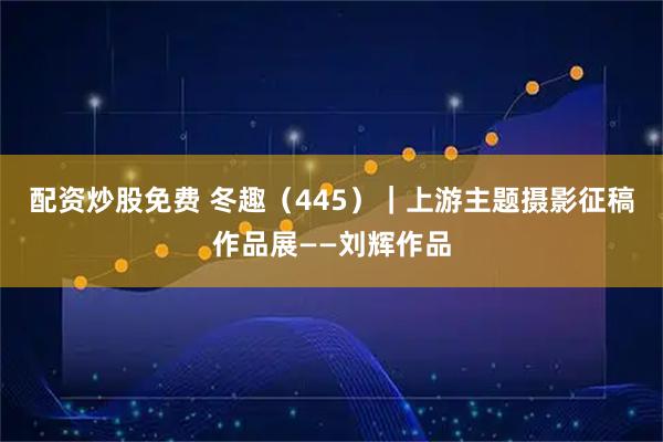 配资炒股免费 冬趣（445）｜上游主题摄影征稿作品展——刘辉作品