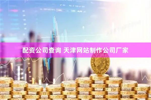 配资公司查询 天津网站制作公司厂家